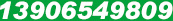 13906549809